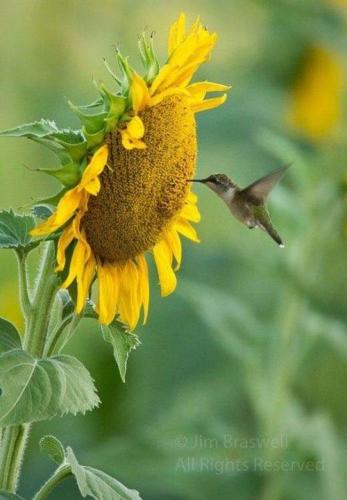 174166004_1555140844685260_9097087360455932992_n