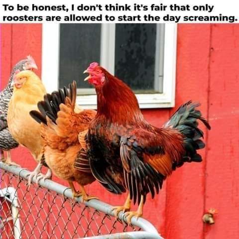 06:25:14 GMT-0400 (EDT)