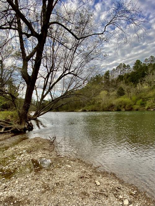 08:19:14 GMT-0500 (CDT).image