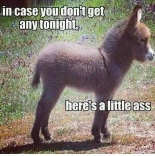 20:12:20 GMT-0400 (EDT)