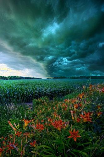 11:23:36 GMT-0500 (CDT)