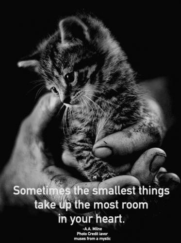 15:16:46 GMT-0500 (CDT)