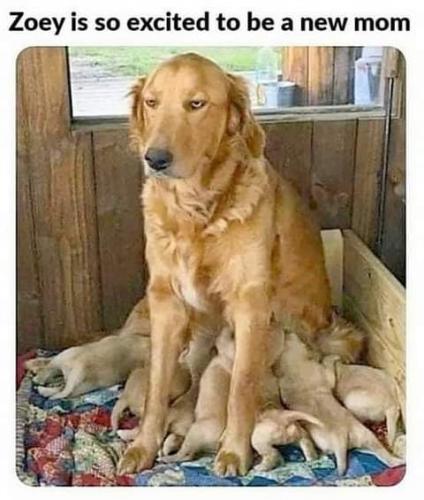 12:06:53 GMT-0700 (PDT)