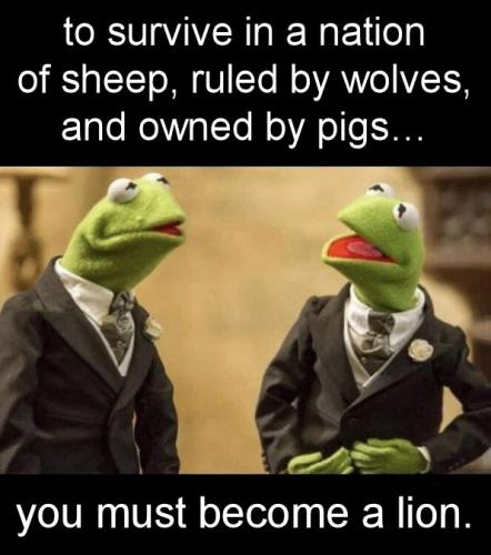 you must become a lion