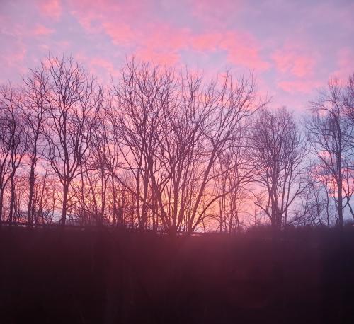 12:53:19 GMT-0400 (EDT)