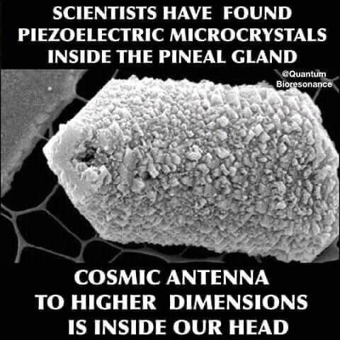F124AABB-2C0B-4F4F-85C8-74DC8FB3F23D
