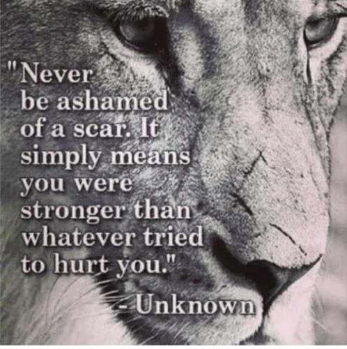 11:11:17 GMT+1200 (NZST).image