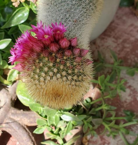 13:15:18 GMT-0700 (PDT)