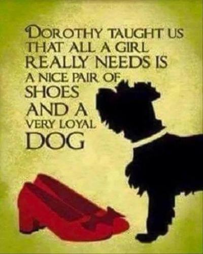 70203401_682068405627939_2454087683790602240_n