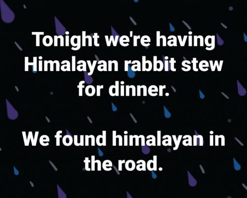 20:03:28 GMT-0400 (EDT)