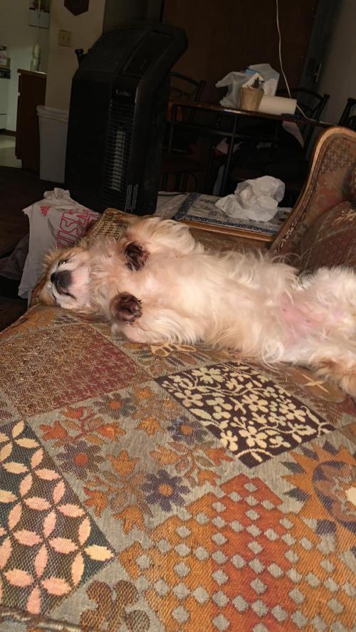 04:04:24 GMT-0600 (CST)