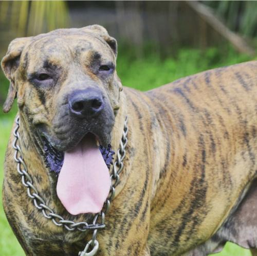 B8D78B4E-CFFE-4617-BE0B-E68A0627FF3F