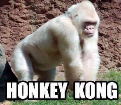 22:04:09 GMT-0700 (PDT).image