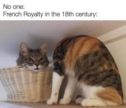 21:27:29 GMT-0500 (CDT)