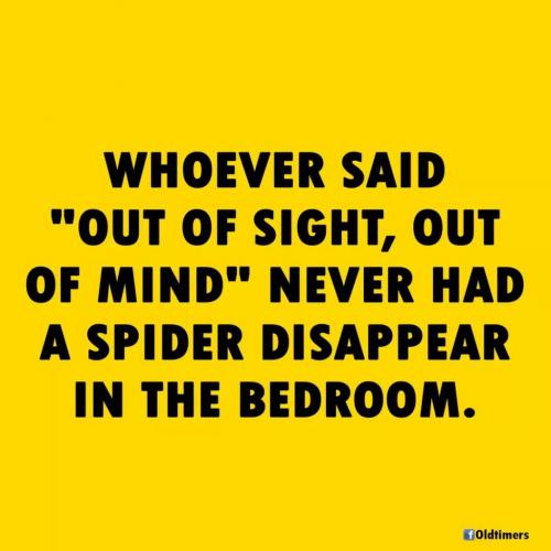 08:46:38 GMT-0400 (EDT)