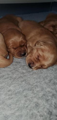 12:33:14 GMT-0400 (EDT)