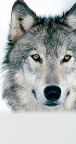 11:16:22 GMT-0500 (CDT)