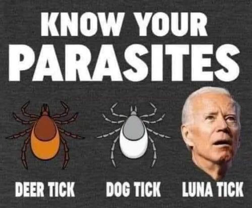 11:52:40 GMT-0500 (CDT).image