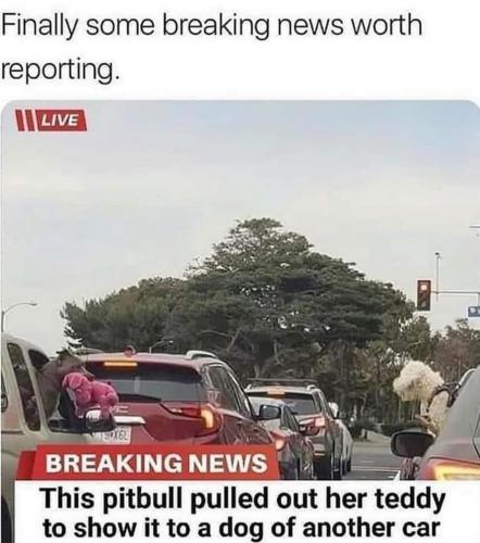 21:47:47 GMT-0700 (PDT).image