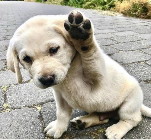 408CBA81-2AA5-4CD9-A963-FBE159AC4374