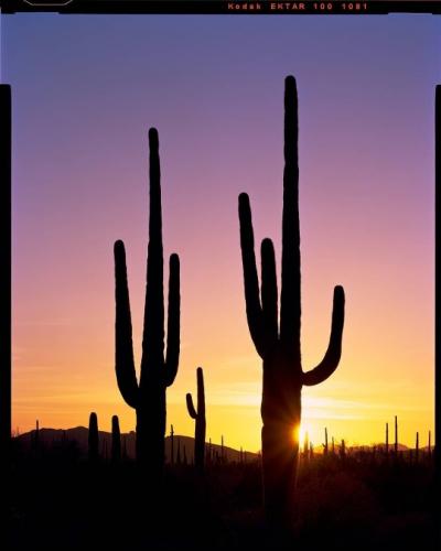 tumblr_8fabb7f6ad48ab5f24d817a8fc83e2d2_9d15ab80_540