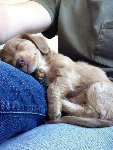 08:12:03 GMT-0500 (CDT)