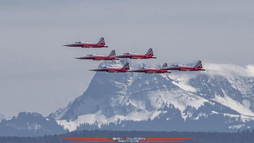 171192740_4005388059518283_6864140068204780010_n