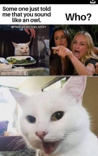 16:38:25 GMT-0700 (PDT)