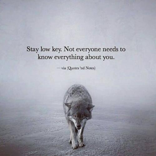 21:15:49 GMT-0500 (CDT)