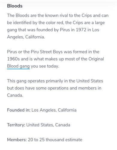 Screenshot_20210415-192615_DuckDuckGo