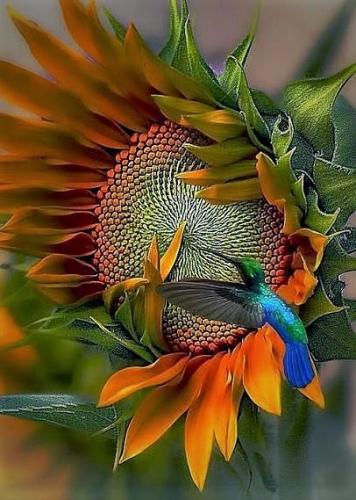 tumblr_9ff8599a63bf582ecb2740de0c0f9aae_2a0a8329_500