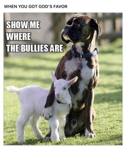 245406F7-9DC9-412A-B98C-8A1D6C612094