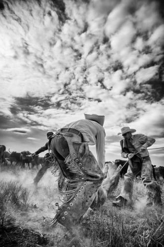 64e8cb8feeff2a8c59ca568a5e8466a6