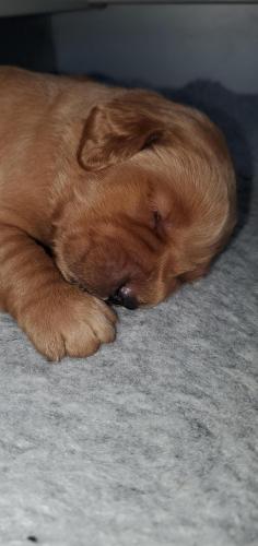 12:32:25 GMT-0400 (EDT)