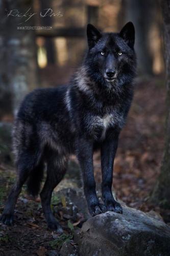 c7dc6b21f5eba5e586faa197afa6444e