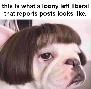 zlibtards226