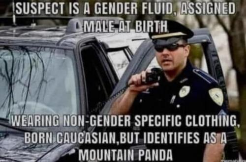 22:00:12 GMT-0700 (PDT).image