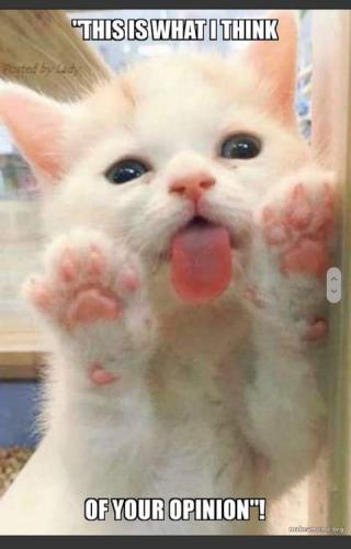 23:03:01 GMT-0700 (PDT)