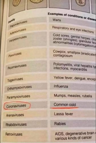 coronavirus