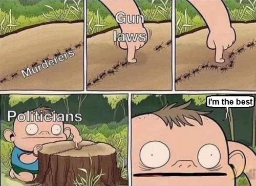 gun laws03