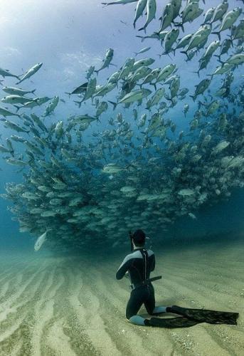 177663059_4127422417315316_7141352869239061701_n