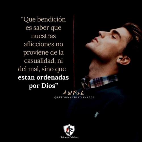 7AE9E22B-579E-4601-BBC7-D00FFCA8C5AC