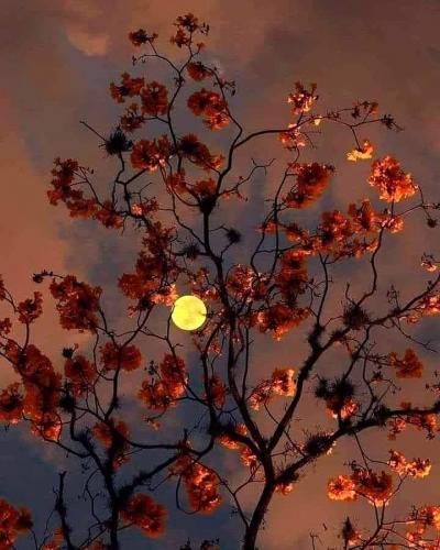 21:13:37 GMT-0500 (CDT)