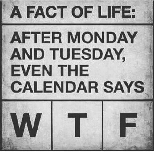 20:52:02 GMT-0400 (EDT)