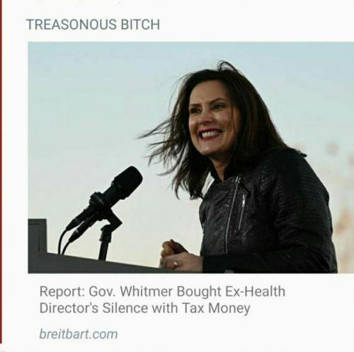 gretchenwhitmer17