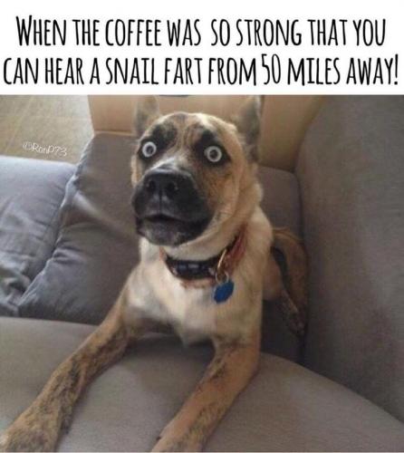 23:36:26 GMT-0700 (PDT).image