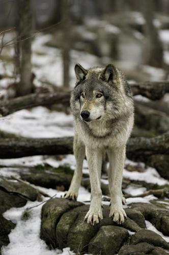 5c8aa54bfca8ed38c23b5f40161c32ff