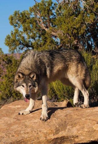 176782295_1559214880944523_8829025493152609377_n