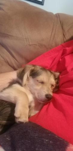 16:07:05 GMT-0400 (EDT)