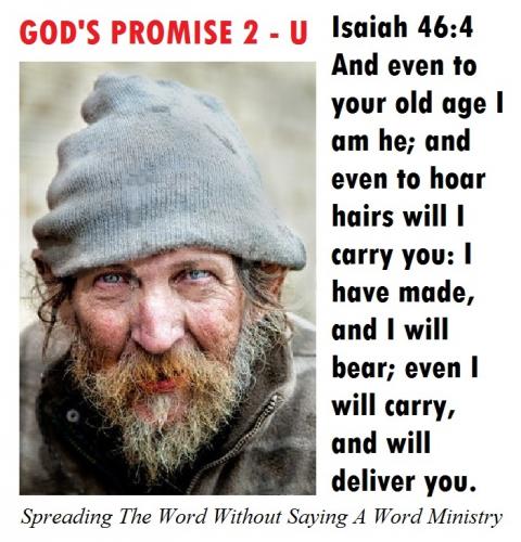 988960_898585553519493_258158212009911910_n